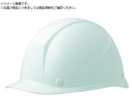 ~hS pFRPwbg LSC-11F X[p[zCg