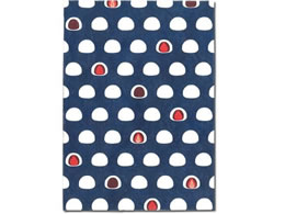 A[eB~X t[TCYubNJo[ 啟 FFSBCICH