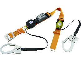 ^C^ SLN505+RICORO-N⏕[v