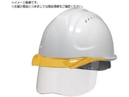 DIC SYA-CSVGAbV  IW HA2 KPt