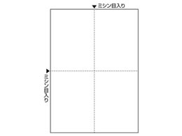 qTS }`v^[A4  4 100 FSC2006