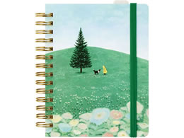 �L���O�W�� �q�g�g�L�m�[�gPR �T�C�J�C HN-PR08