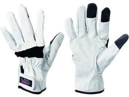 yMG[X/؊v XL[tH[X ubN