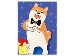 {z[}[N o[Xf[IS[J[h IyCk2 815035