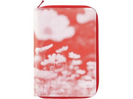 LOW qggLm[gCF (tHg) HN-CF01