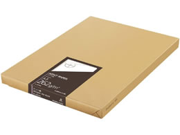 RN Pg A3 100 262g Z-KP48