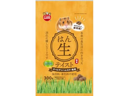 }J nX^[t[heCXg S[f 300g ML-307