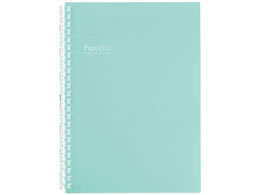 qgu Pastello cCXgm[g A5 24 O[ N1958-19