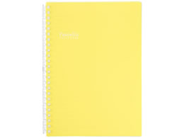 qgu Pastello cCXgm[g A5 24 CG[ N1958-5