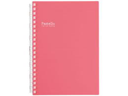 qgu Pastello cCXgm[g B6 21 [W N1969-2