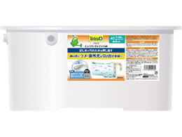 XyNguYWp eg傤ŃLC_J40