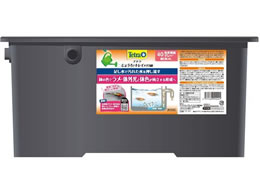 XyNg eg 傤ŃLC_J 40 F琬O[