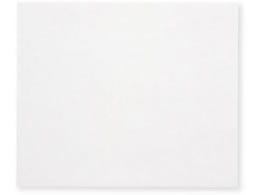 wCR[ LV[g 100~120  500 004739072