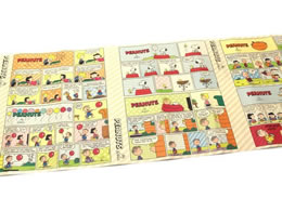 J mtCNV[g Peanuts s[ibcER~bNXgCv MTCARPT03