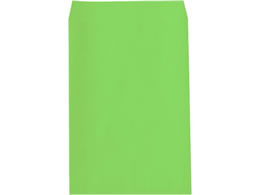 LOR[|[V p1 100g Z^[\ O[ 500 010209