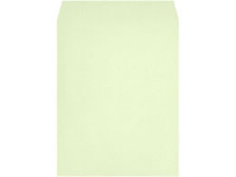 LOR[|[V p3 100g X~\ EOCX 500 080531