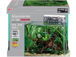 WFbNX OXeA FL300 XtB^[Zbg 11926