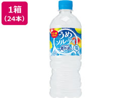 Tg[ VR ߃\eB 540mL~24{