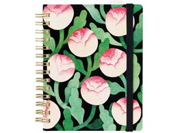 LOW qggLm[g PR(u[) HN-PR04