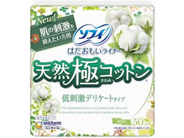 jE`[ \tB ͂Ci[ VRɃRbg hfP[g