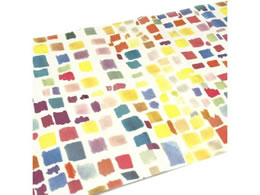 J mtCNV[g SOUSOU GM MTCARSO05