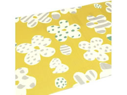 J mtCNV[g SOUSOU ͂ MTCARSO06