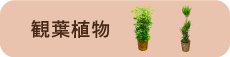 ϗtA
