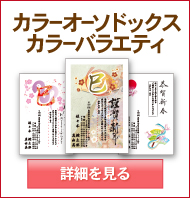 NEWS 会報 年賀状 2025年版年賀状印刷 通販【フォレストウェイ】
