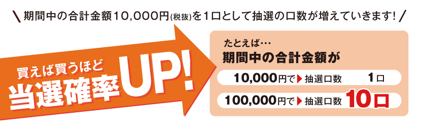 決算SALEキャンペーン 通販【フォレストウェイ】