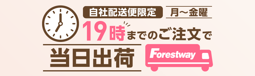 �t�H���X�g�E�F�C��