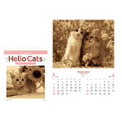 �n���[�L���b�c