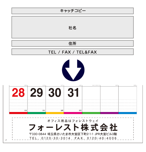���C�A�E�g�yC�z