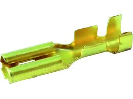 uebNX d^-~i 100 F11F F11F