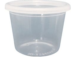 쉮 SANOPACK100 e SANOPACK100