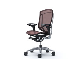 �I�J���� �R���e�b�T2 �n�C�o�b�N �����b�V�� �_�[�N�u���E�� CC81BR FPG8