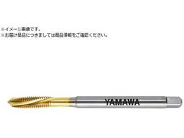 } Opʂ茊pXpC^bv LS-F-SL L100 P2 M4X0.7 LS-F-SL-F-P2-100-M4X0.7