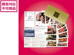 Tj[t[Y OMtg [SRR[X] SR-0001