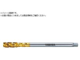 } OpXpC^bv LS-F-SP L100 P2 M6X1 LS-F-SP-F-P2-100-M6X1