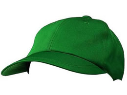 KAZEN WLD �L���b�v �O���[�� APK475-22