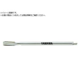 } O[XpC^bv LS-LO-SP L150 P2 M8X1.25 LS-LO-SP-P2-150-M8X1.25