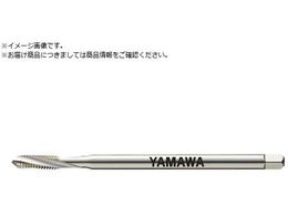 } OޗpXpC^bv LS-PM-SP L150 P3 M6X1 LS-PM-SP-F-P3-150-M6X1