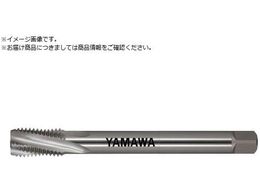 } OޗpXpC^bv LS-PM-SP L200 P4 M30X3.5 LS-PM-SP-P4-200-M30X3.5