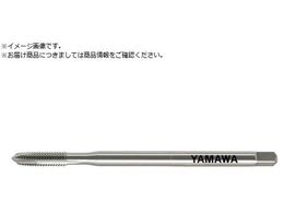 } Oޗp|Cg^bv LS-PM-PO L100 P3 M5X0.8 LS-PM-PO-F-P3-100-M5X0.8