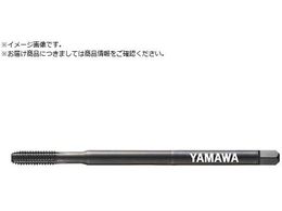 } OX`[p[^bv LS-N-RZ L100 G7 M5X0.8 B LS-N-RZ-F-G7-100-M5X0.8-B