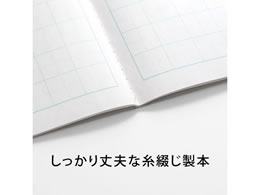 キョクトウ こくご B5 8マス 中心リーダー入 Lp11 Forestway 通販フォレストウェイ キョクトウ こくご B5 8マス 中心リーダー入 Lp11 Forestway 通販フォレストウェイ
