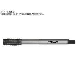 } OX`[p[^bv LS-N-RZ L150 G7 M10X1.5 P LS-N-RZ-G7-150-M10X1.5-P