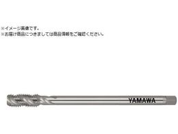 } OXpC^bv LS-SP L100 P2 M10X1.5 LS-SP100-M10