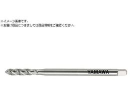 } OXpC^bv LS-SP L100 P2 M6X1 LS-SP-F-P2-100-M6X1