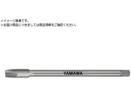 } O|Cg^bv LS-PO L150 P3 M8X1.25 LS-PO-150-M8