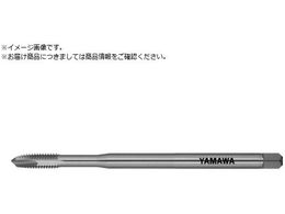 } O|Cg^bv LS-PO L120 P2 M6X1 LS-PO-F-P2-120-M6X1